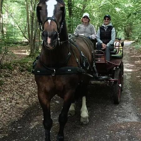 Laroulottedubec * Malleville-sur-le-Bec